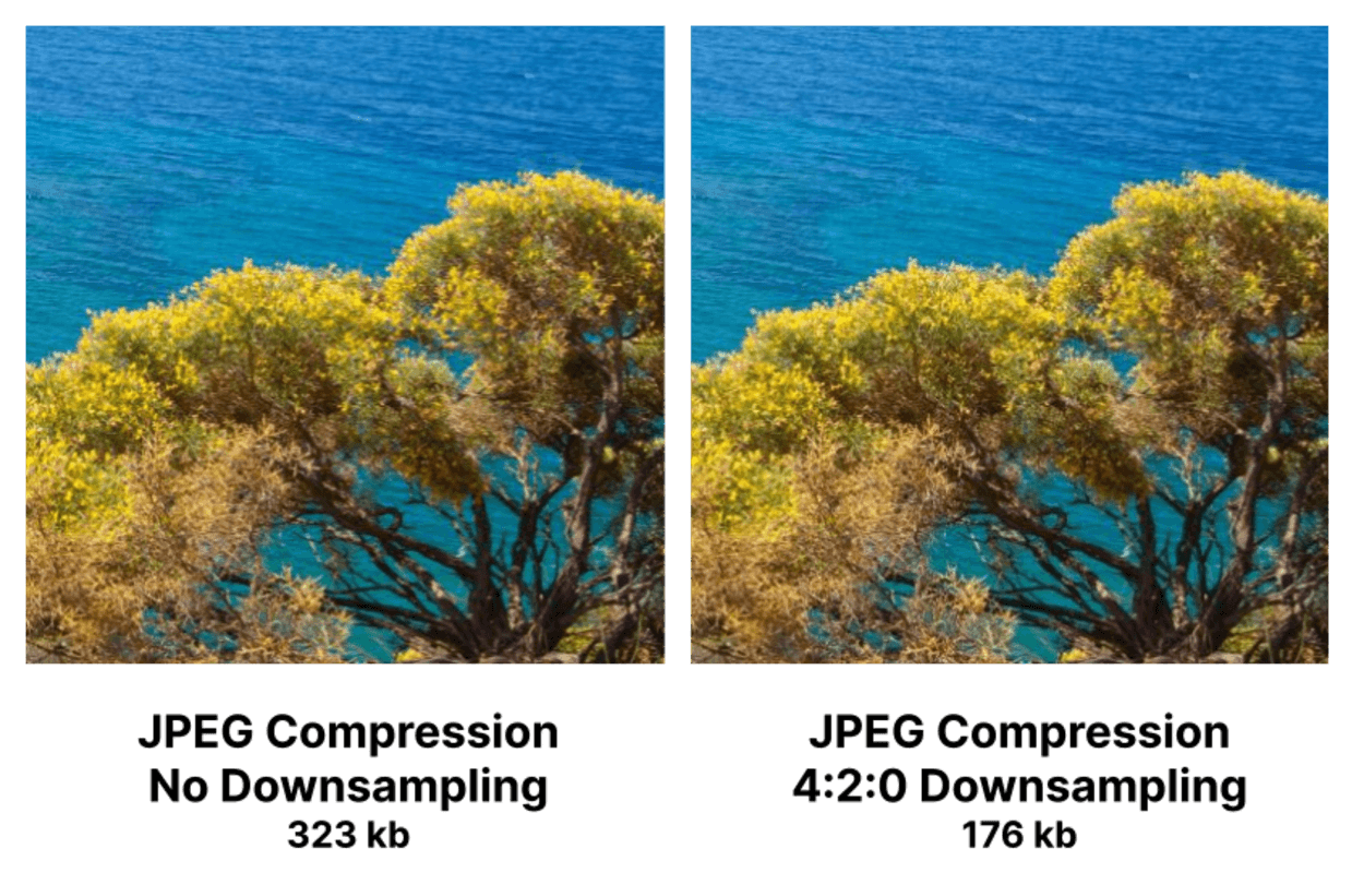 Fact Check: Is JPEG or PNG higher quality?