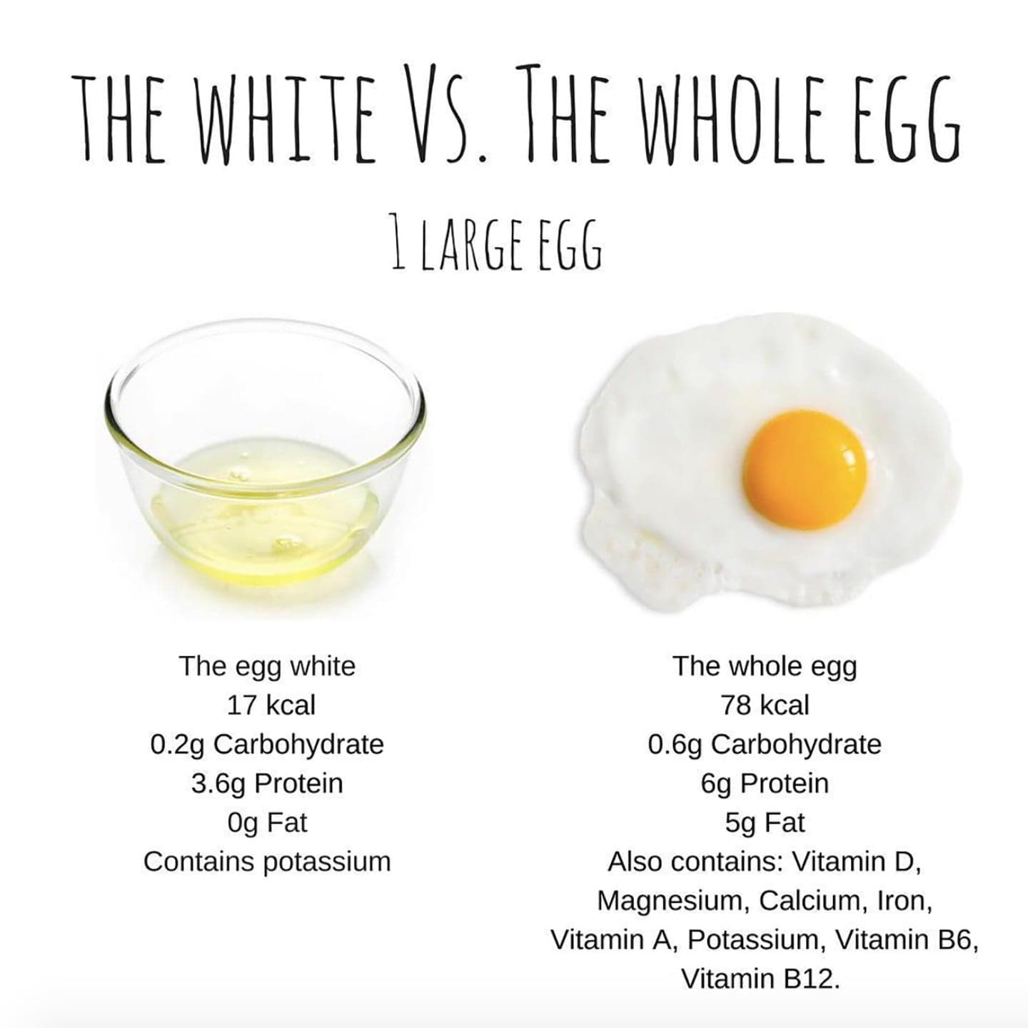 Fact Check: Egg whites have more protein than egg yolks.