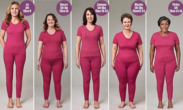Fact Check: woman with larger breast and butt are more horny that normal body size women