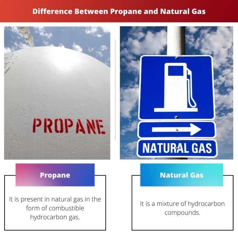 Fact Check: Is LPG propane?