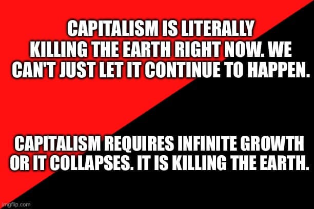Fact Check: Capitalism requires infinite growth.