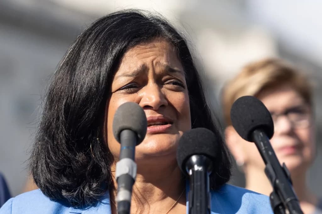 Fact Check: Progressive Democrats were outspoken in opposition.
