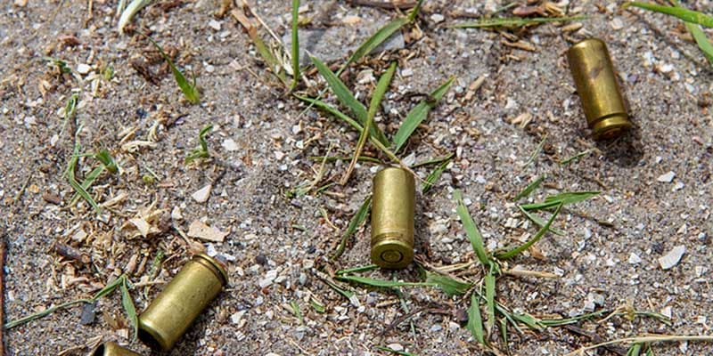 Fact Check: Witnesses told police officers that Brown was the shooter, and two shell casings were found at the scene.