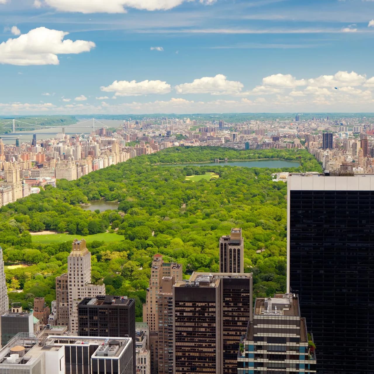 Fact Check: The cleared area is nearly five times the size of Central Park in New York City.