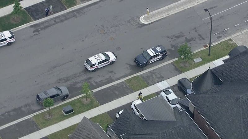 Fact Check: York Regional Police were called to Pine Heights Drive, near Major MacKenzie Drive West and Highway 400, at approximately 4 a.m. Thursday for a report of a vehicle theft in progress.