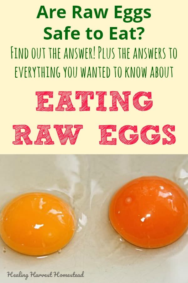 Fact Check: Are eggs safe to eat