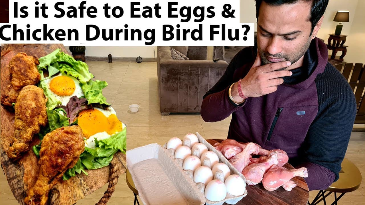 Fact Check: Are eggs safe to eat bird flu