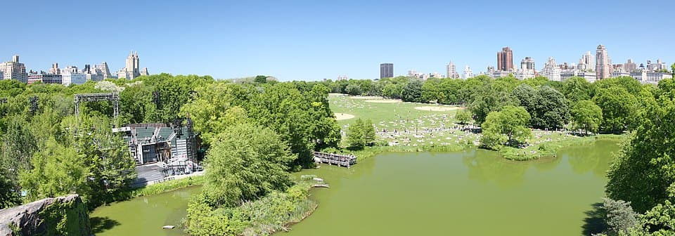 Fact Check: The cleared area is nearly five times the size of Central Park in New York City.