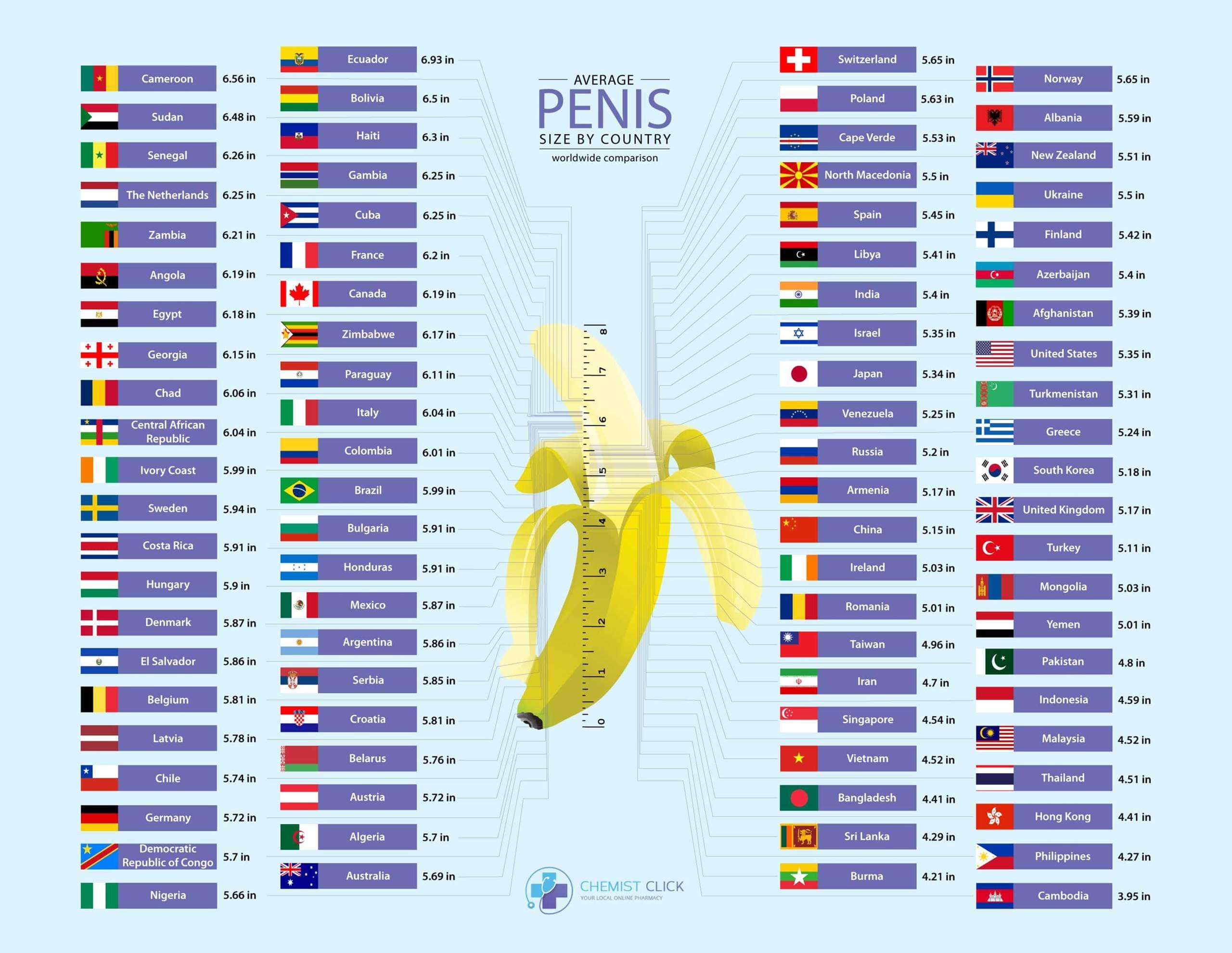 Fact Check: The average length of male genitalia is over 10 inches