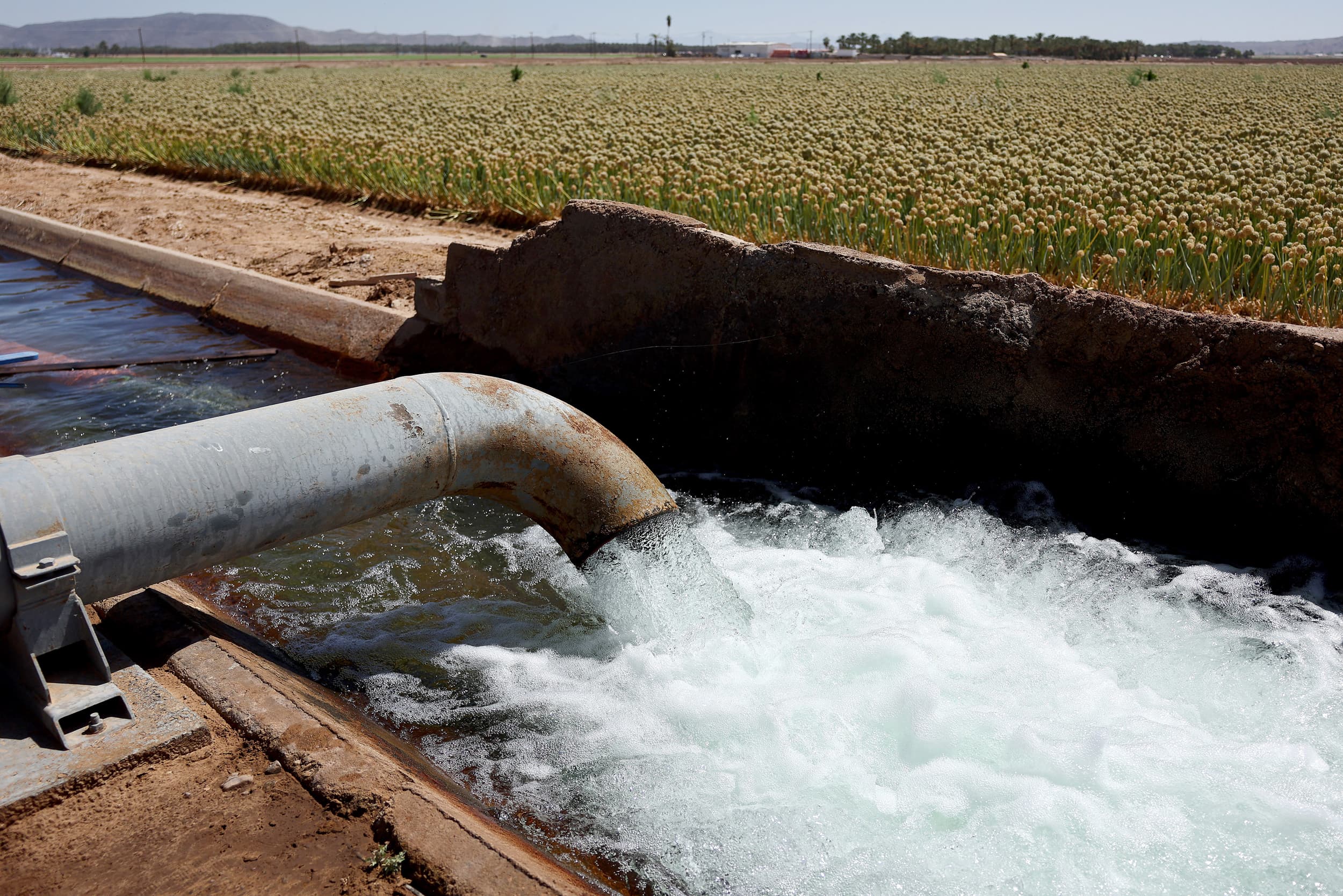 Fact Check: The farm uses groundwater, not Colorado River water.