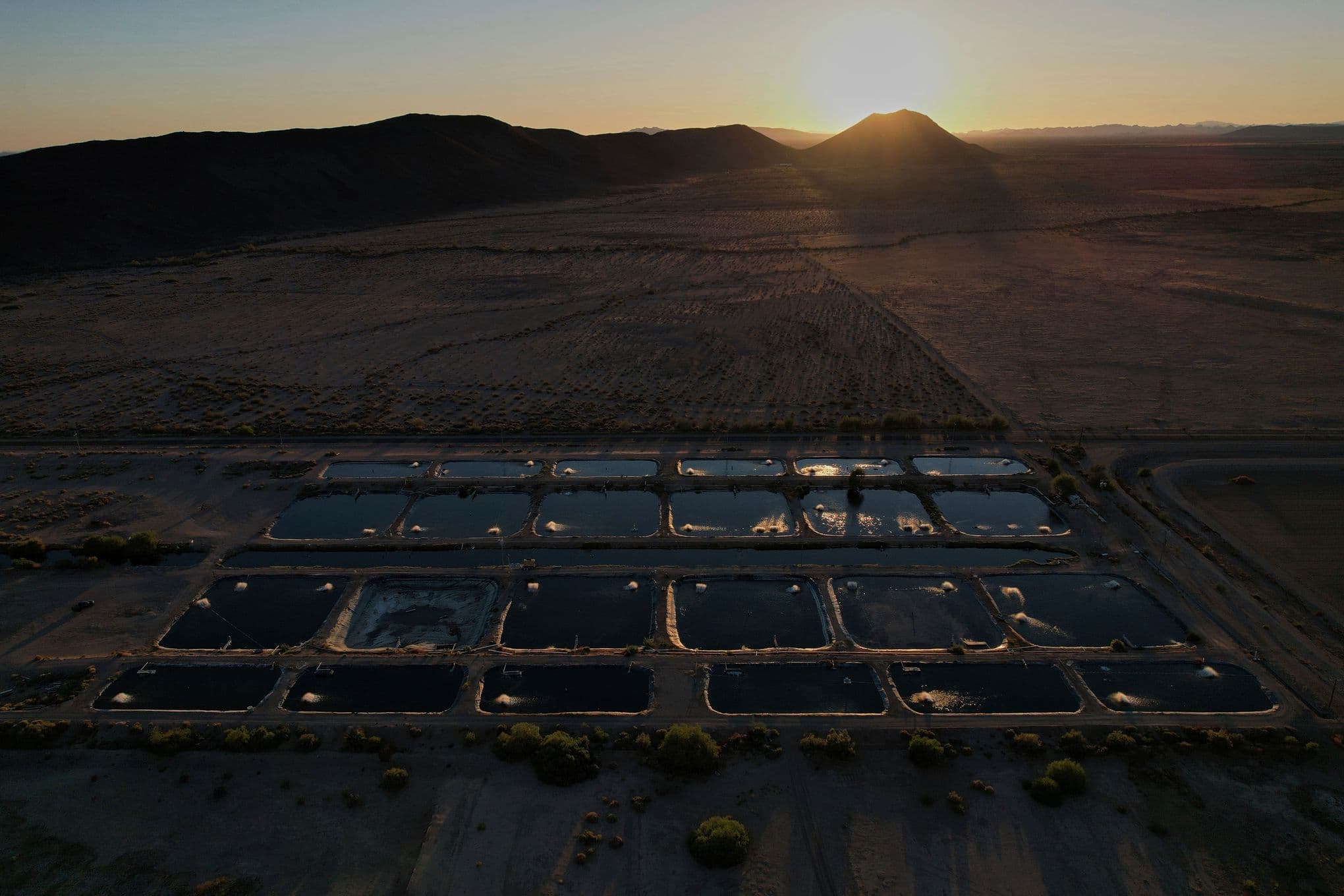 Fact Check: Mangan says they’ve been improving pond design to retain heat better and have found, after the last year of research and development, that they can cut their water requirement by about half.