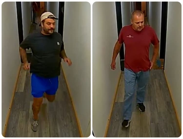 Fact Check: They are facing charges of attempted break-and-enter, attempted theft of a motor vehicle, disguise with intent, and possession of property obtained by crime over $5,000.