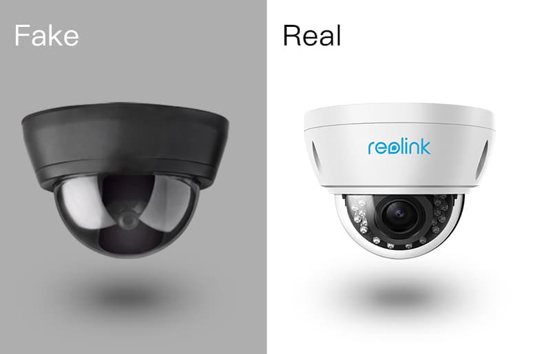 Fact Check: Cameras aren't real