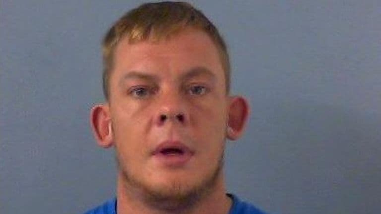 Fact Check: Michael Jones, 39, was found guilty of burglary in March 2024 for his role in the £4.8 million gold toilet heist at Blenheim Palace.