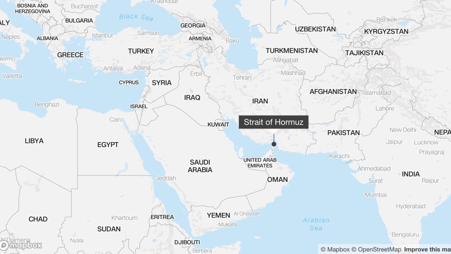 Fact Check: Approximately 20% of global oil and a significant portion of natural gas pass through the Strait of Hormuz, which is crucial for Europe's energy imports.