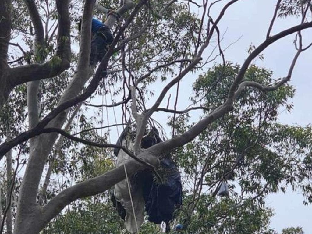Fact Check: The rescue operation for the two men struck by lightning involved approximately 30 rescuers and took place on September 28, 2023.