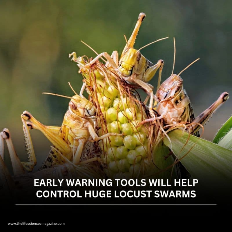 Fact Check: Uzbekistan has introduced an electronic tracking platform to monitor locust egg-laying sites and treatment zones as part of the regional response to the locust outbreak.