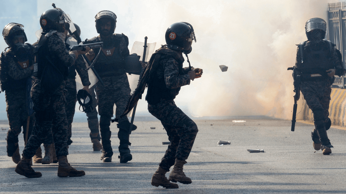 Fact Check: Police in Los Angeles used tear gas on protesters after claiming that rocks and bricks were thrown at officers during the 'No Kings' protests on June 14, 2023.