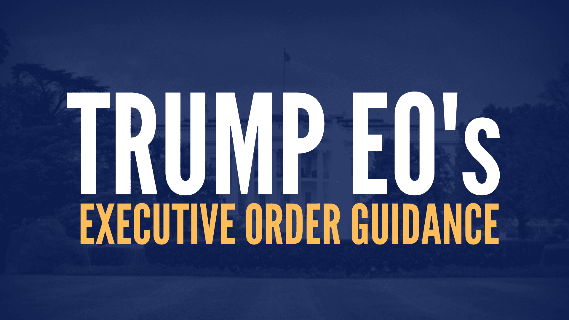Fact Check: Project 2025 is behind a lot of Trumps EOs

