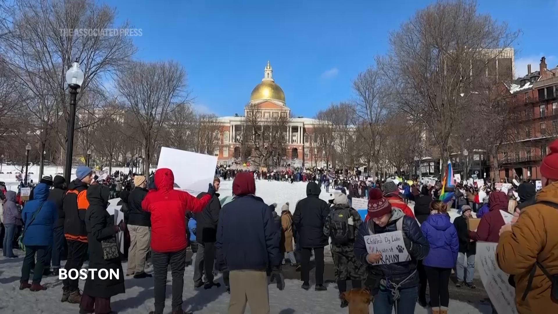 Fact Check: Thousands attended the 'No Kings' rally at the Minnesota State Capitol in St. Paul on June 14, 2025, despite safety warnings from officials.