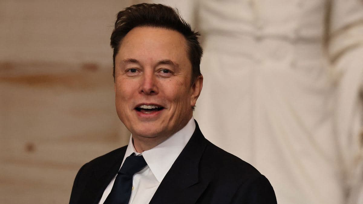 Fact Check: Elon musks grandparents were nazis
