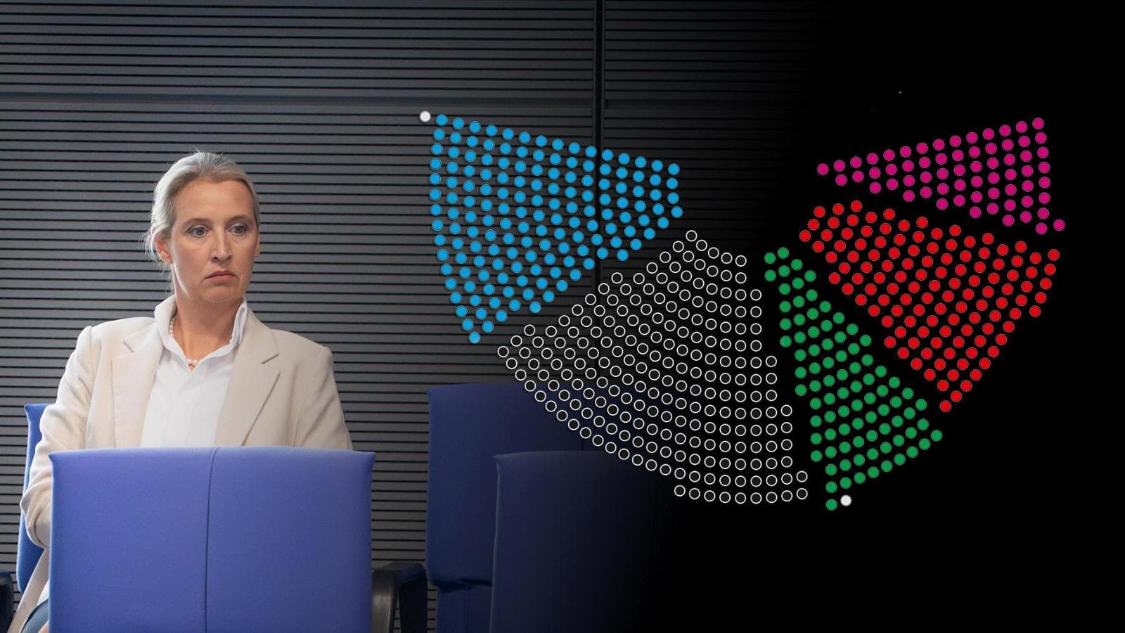 Fact Check: Die AFD ist nicht rassistisch 