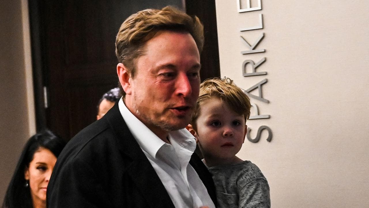 Fact Check: Elon Musk family owns a diamond mine