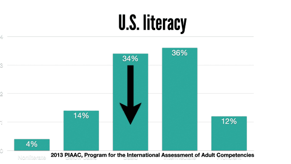 Fact Check: On average, 79% of U.S. adults nationwide are literate in 2024.  In czech republic this statistic is 99%-100%.