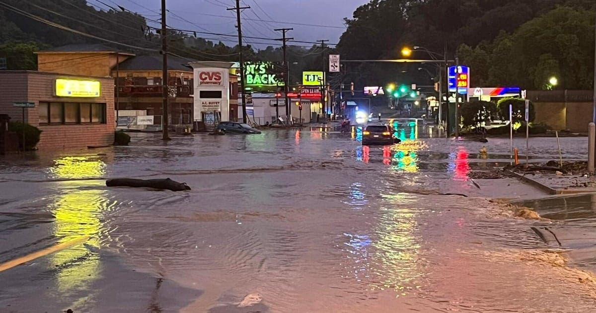 Fact Check: Flash flooding caused by torrential rains killed five people, including a 3-year-old child, in northern West Virginia on June 15, 2025.