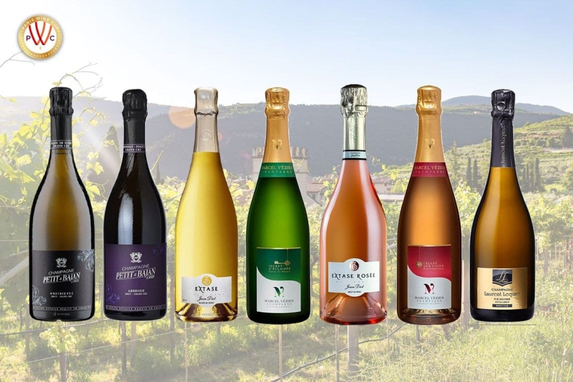 Fact Check: Champagne can anly by produced in France