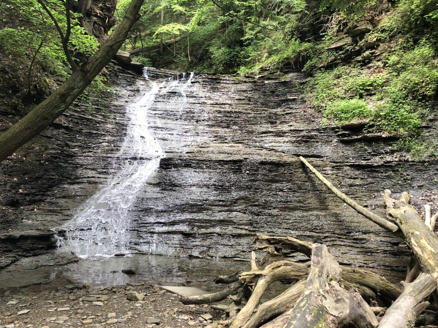 Fact Check: Notices urging visitors to report negative remarks about Americans were posted at several sites in Cuyahoga Valley National Park, including the Boston Mill Visitor Center, by last Saturday.