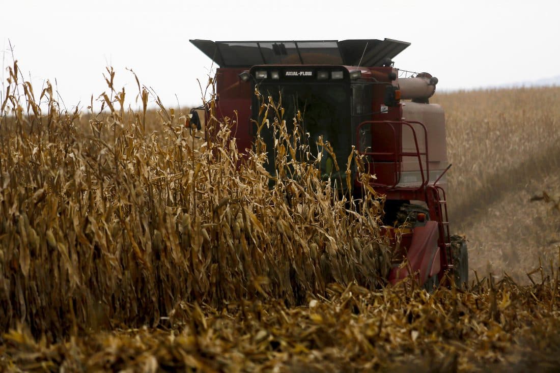 Fact Check: A federal court judge ruled in a 2021 case that granting loan forgiveness only to 'socially disadvantaged farmers' amounts to unconstitutional race discrimination, leading to the suspension of the program by the Biden administration and its repeal by Congress in 2022.
