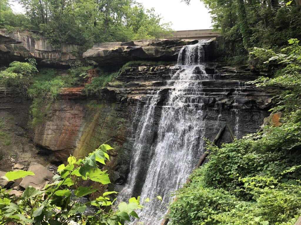 Fact Check: Notices urging visitors to report negative remarks about Americans were posted at several locations in Cuyahoga Valley National Park, including the Boston Mill Visitor Center, Lock 29 trailhead, Ledges trailhead, and Kendall Lake by last Saturday.