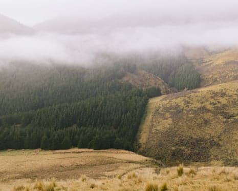 Fact Check: Lawyers for Climate Action NZ and the Environmental Law Initiative filed for judicial review against New Zealand’s Minister for Climate Change, Simon Watts, in the Wellington High Court on November 7, 2023.