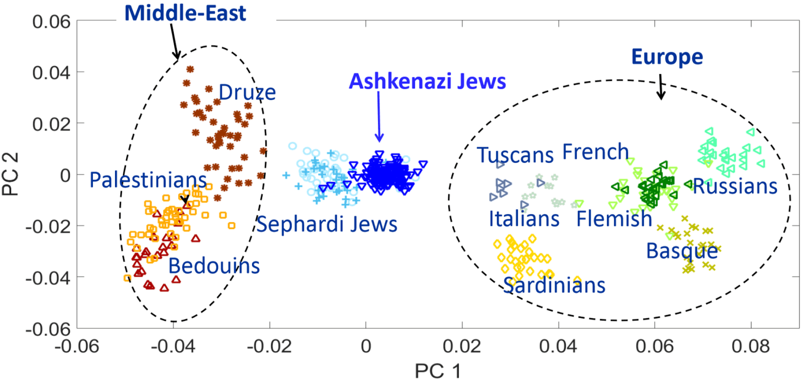 Fact Check: Ashkenazi Jews have middle eastern dna 