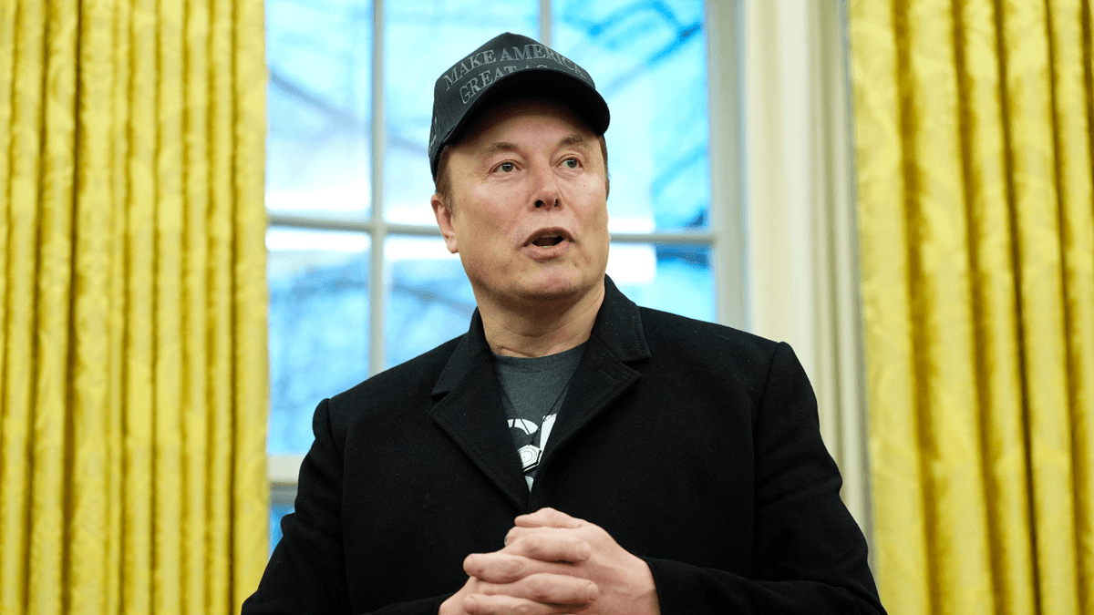 Fact Check: elon musk bought the election
