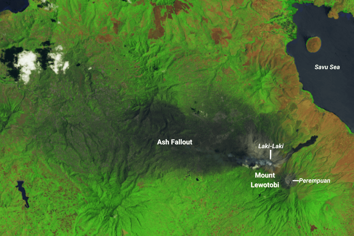 Fact Check: The Mount Lewotobi Laki-Laki volcano erupted on June 17, 2025, unleashing a 6.8 miles-high ash cloud.