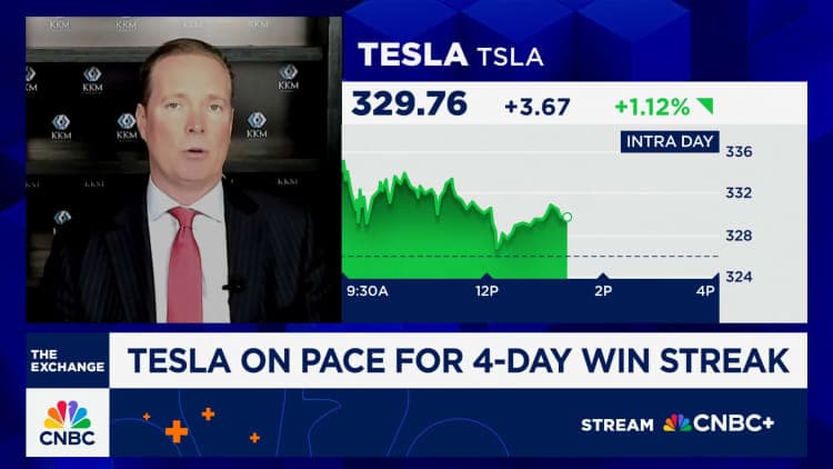 Fact Check: Citizens lack access to Tesla's safety testing results.