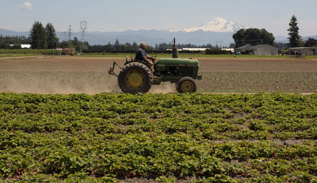 Fact Check: USDA guarantees 90% loan value for white farmers, but 95% for minorities.