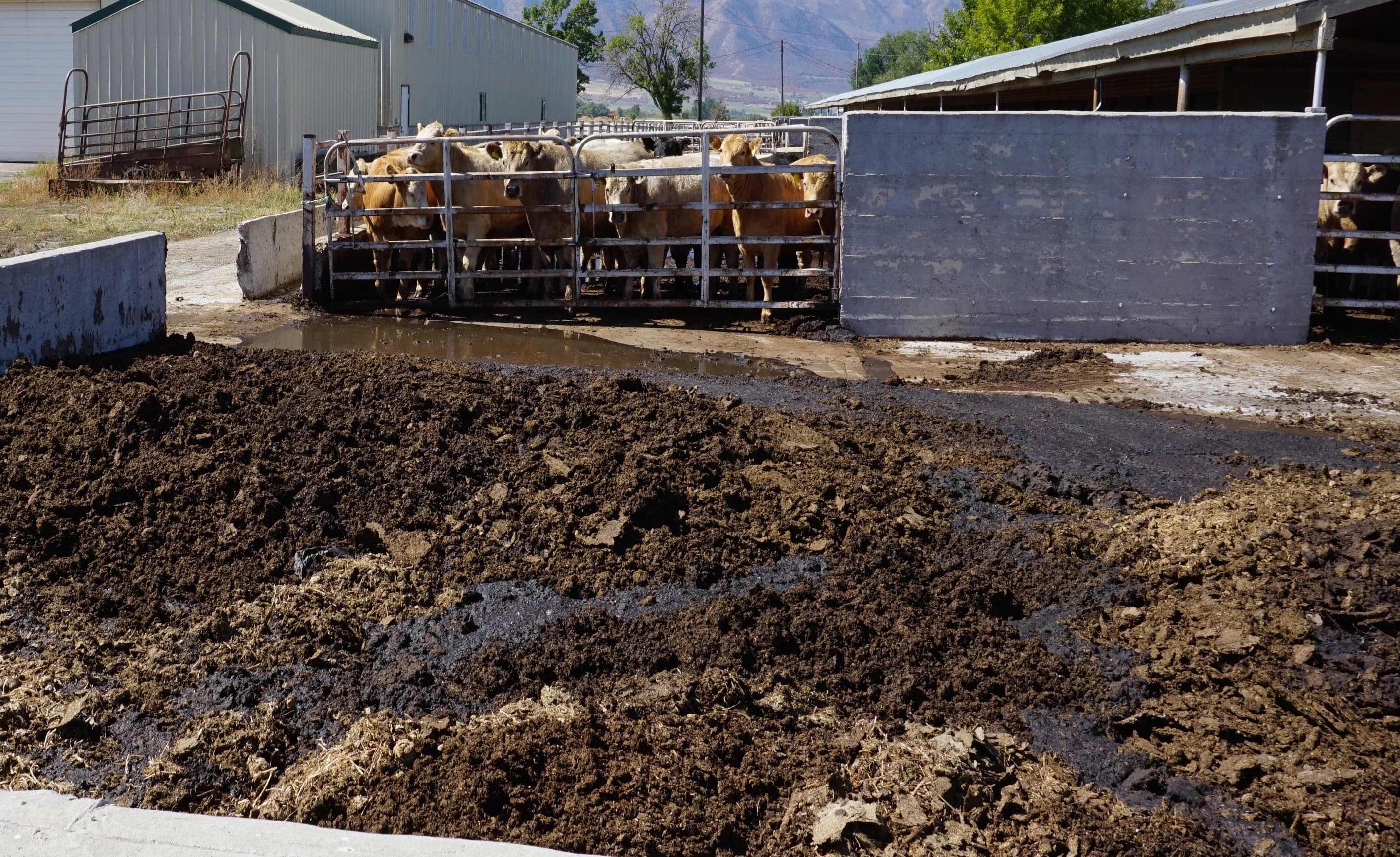 Fact Check: Faust's manure storage reimbursement is capped at 75%, while minorities get 90%.