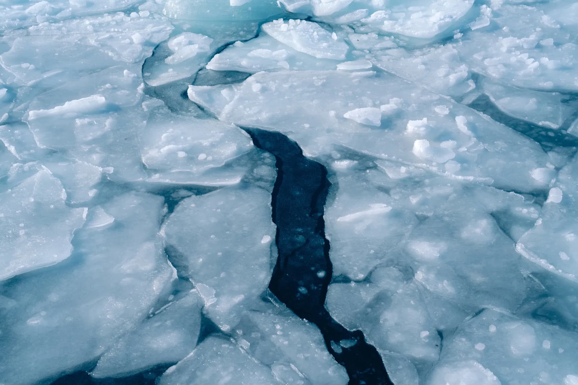 Fact Check: 80% chance that one of the next five years will be the hottest on record.
