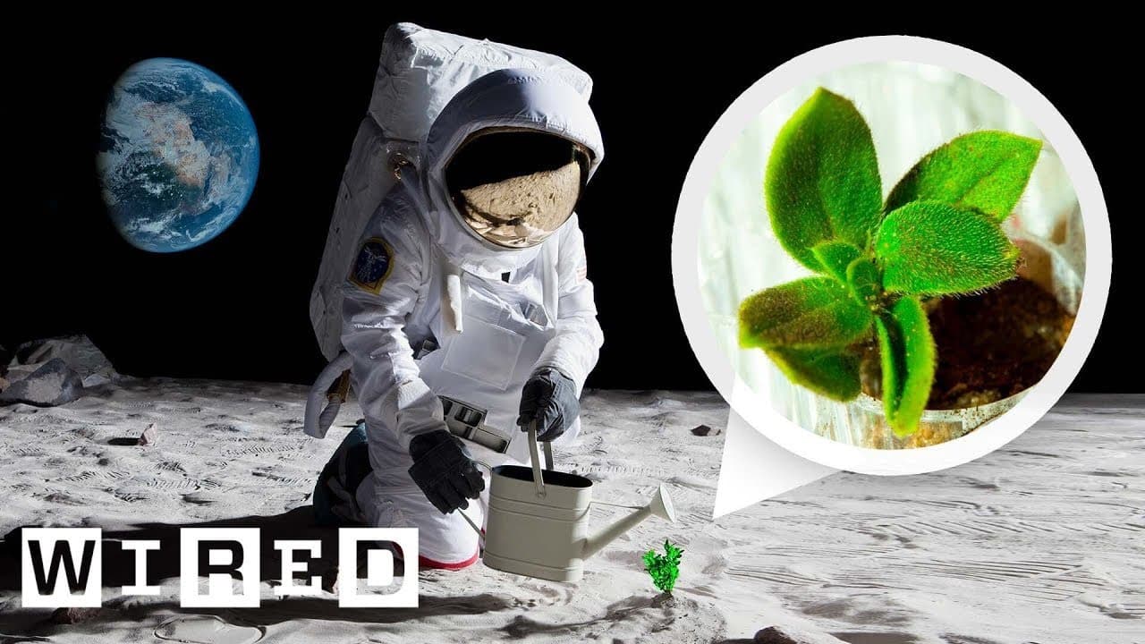 Fact Check: Unique organisms may develop from moon-grown plants, says biologist.
