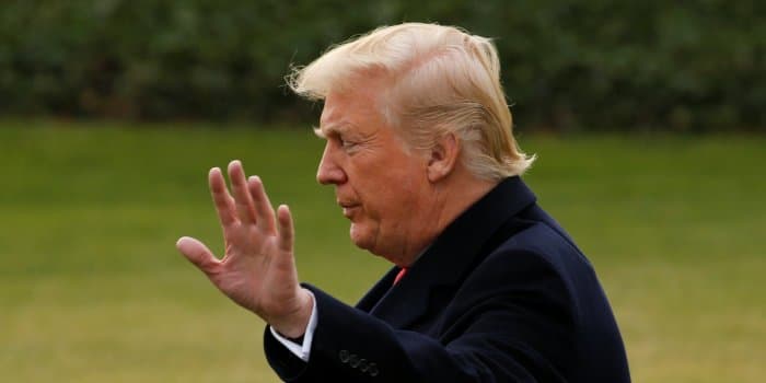 Fact Check: Donald Trump is stupid