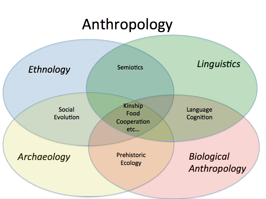 Fact Check: The field of anthropology has become dominated by women and this has affected the field in both positiv and negative ways