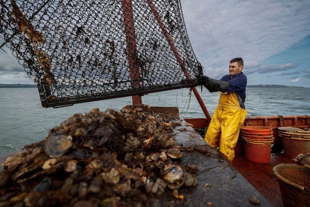 Fact Check: UK seas among 20 fastest-warming places globally in 50 years.