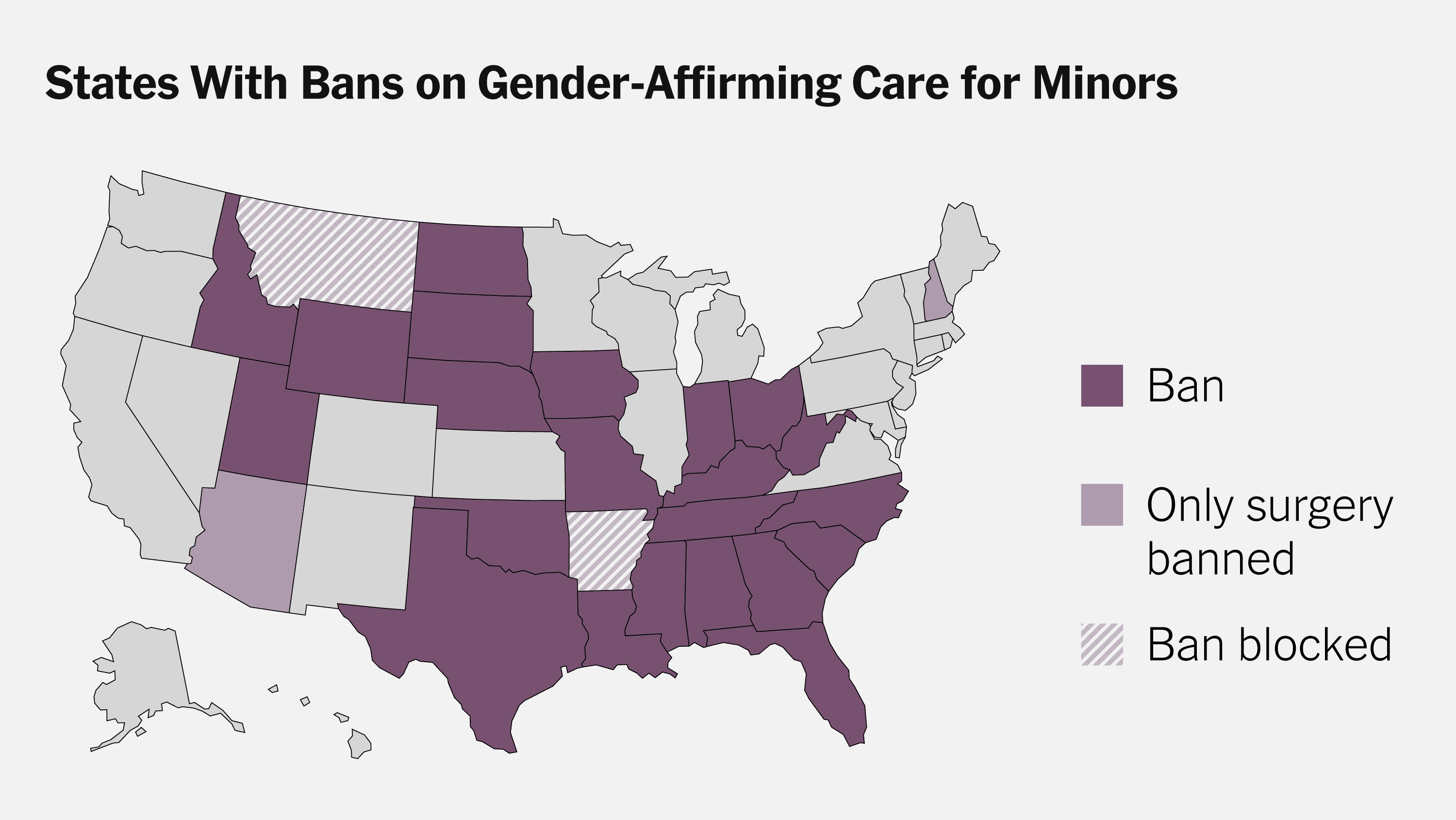 Fact Check: 26 states have similar laws to Tennessee's gender-affirming care ban.