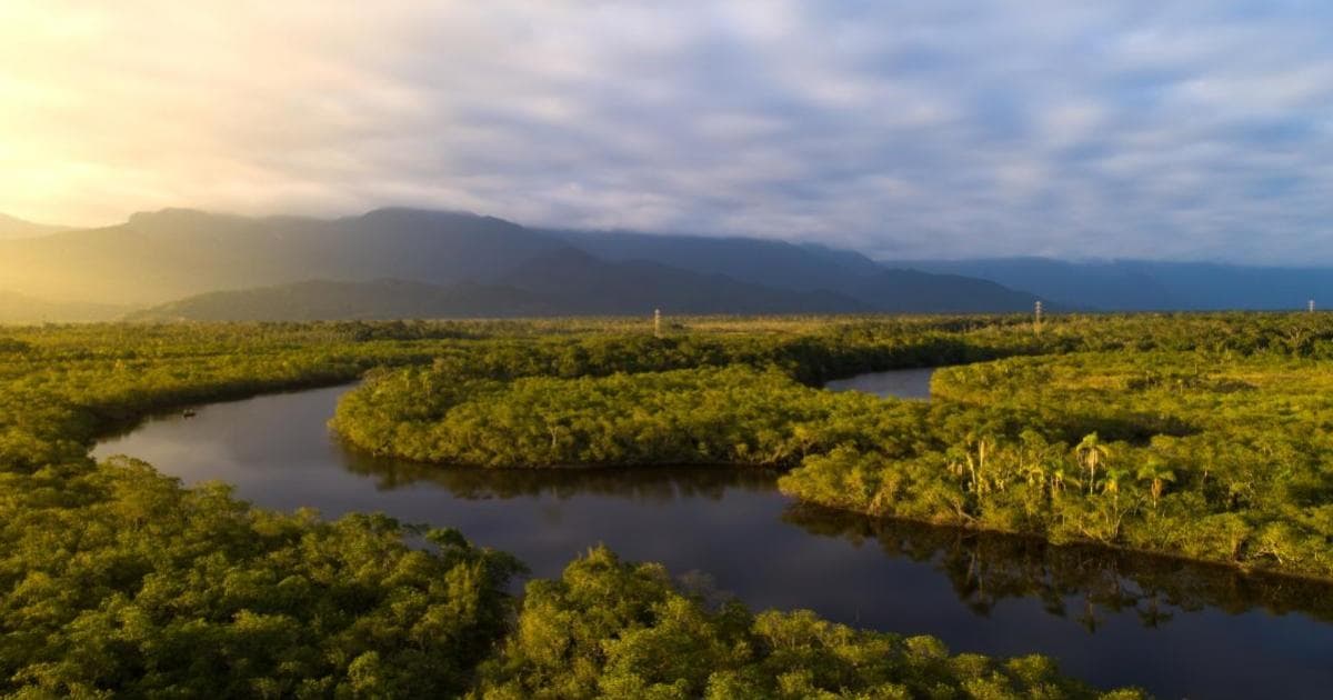Fact Check: Chevron, ExxonMobil, and Petrobras awarded 19 offshore blocks near the Amazon.