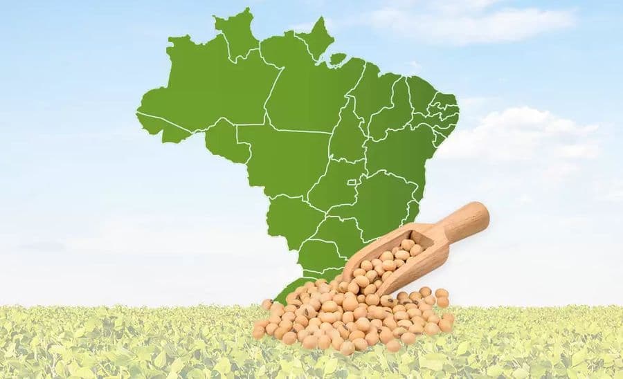 Fact Check: Brazil's oil production surpassed soybeans, becoming the top export last year.