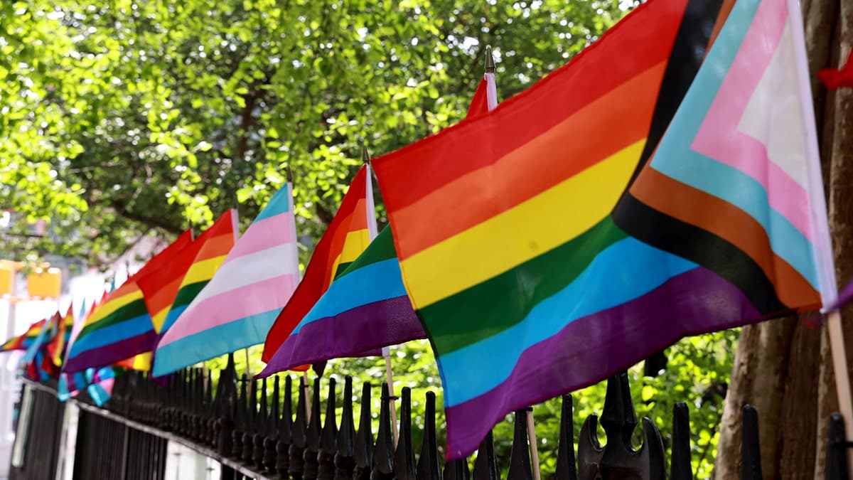 Fact Check: Luna labeled banned LGBTQ books as pro-pedophilia and pornographic.