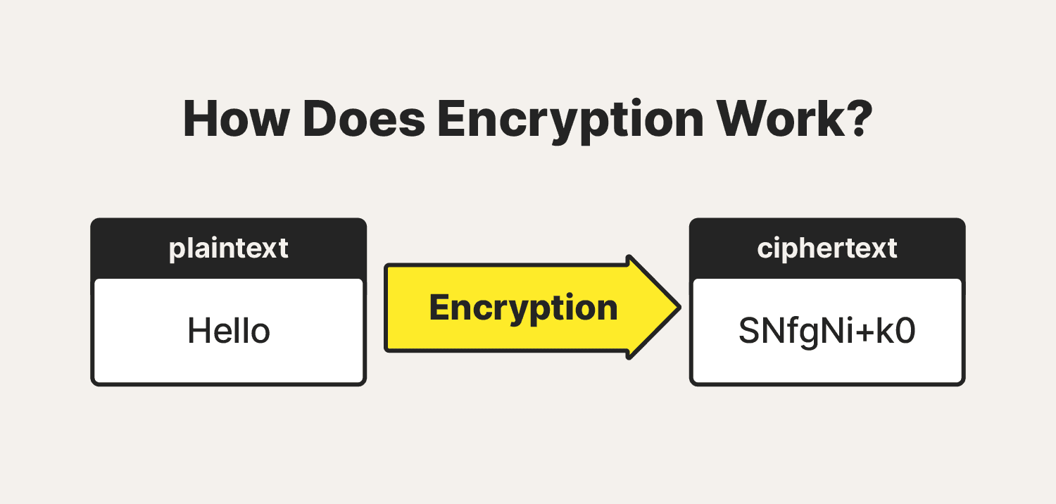 Fact Check: WhatsApp's end-to-end encryption means only sender and recipient can read messages.